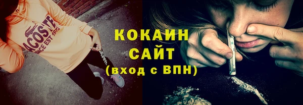 соль ск Абаза