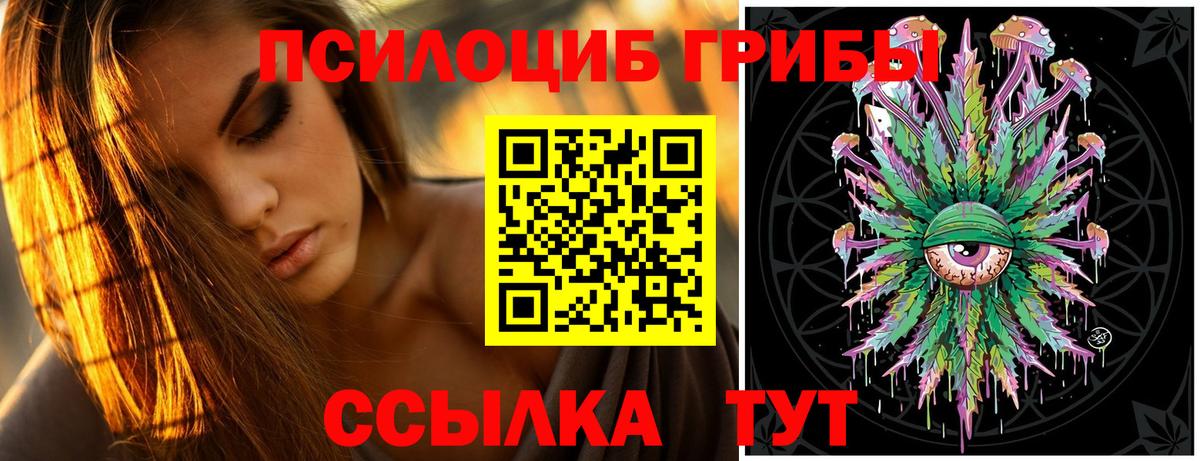 Галлюциногенные грибы прущие грибы  Вход с VPN  Уфа  Псилоцибиновые грибы GOLDEN TEACHER 
